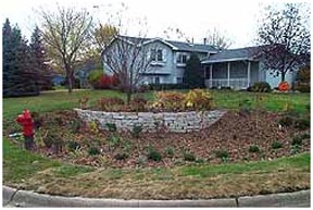 Rain Garden